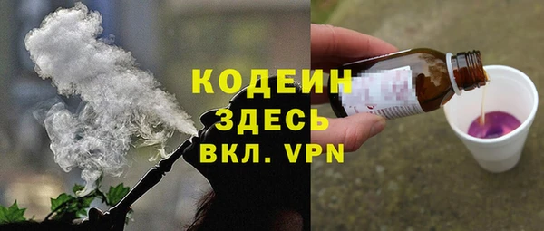apvp Инта