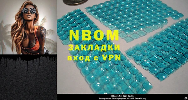 mdpv Богородск