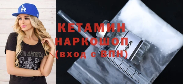шишки Богородицк