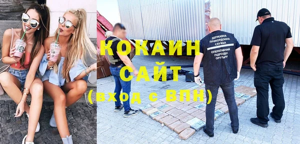 ECSTASY Богданович