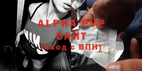 ECSTASY Богданович