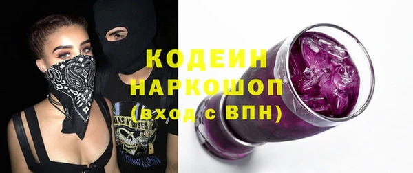 ECSTASY Богданович