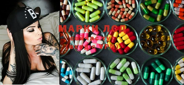 ECSTASY Богданович