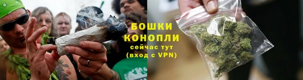 mdpv Богородск