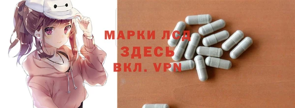 шишки Богородицк