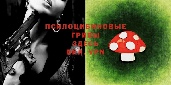 шишки Богородицк