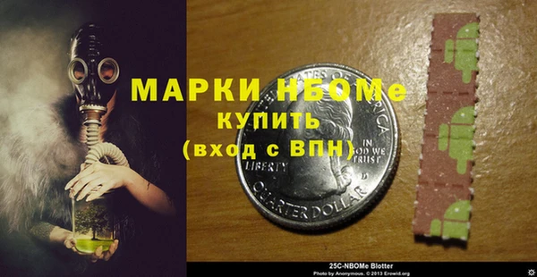 шишки Богородицк