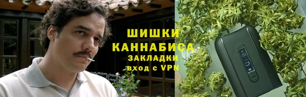 mdpv Богородск
