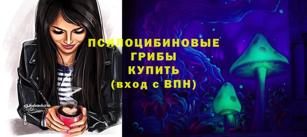 ECSTASY Богданович