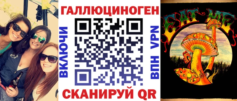 kraken зеркало  Кирс  Галлюциногенные грибы мицелий 